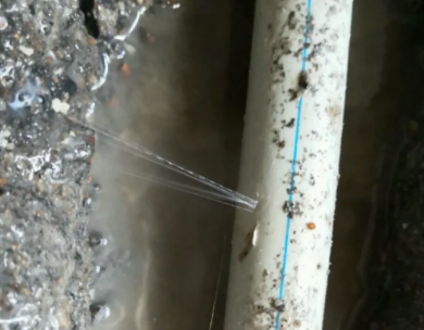 乌苏测漏水哪家好